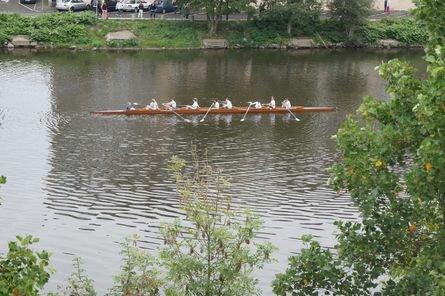 Aviron sur la Mayenne